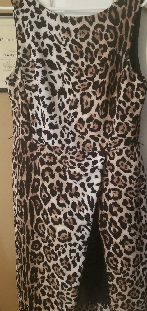 Cheetah dress